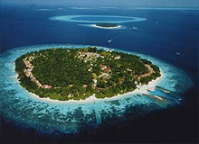 Bandos Island Resort